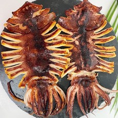 건어물이좋다 반건조오징어 특대/대/중/소 동해영덕해풍반건오징어 최고중량/원양산오징어, 1개, 원양 대 10마리 (1.2kg)