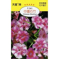 天星牌 中國石竹 Chinesis Dianthus 種子 - 野菜部屋 Y27 穗耕種苗, 1包