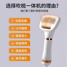 靜音寵物吹風機 狗狗貓咪烘乾梳子 拉毛神器, 白金,徠本寵物吹梳一件式機, 1個
