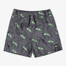 보드라이더스 퀵실버 주니어 넥스트 젠 14인치 쇼츠(KF21KS021KVJ)_CA