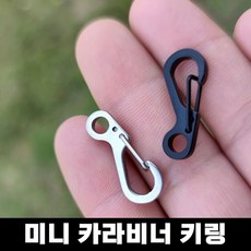 미니 카라비너 키링 버클 가방고리, 단일, 1개