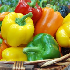 파프리카 선별 신선채소 제철농산물, 1박스, 가정용 빨강노랑 파프리카 2kg