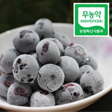 국산 무농약 냉동 블루베리 먹는법 진천 노지, 1개, 1kg
