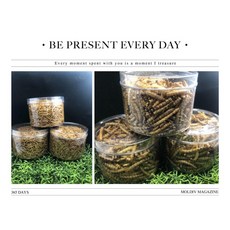 F邦邦水族 大麥蟲乾 麵包蟲乾 700ml 蜜袋鼯 刺蝟 鼠 龜 蛙 鳥 螯蝦 淡水龍蝦 寵物飼料, 1個, 麵包蟲700ml