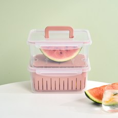 모던하우스 수박 보관 용기 핸들형 2P세트(채반1P+트레이 1P)_제오닉 KC0425026, 2개, 4L