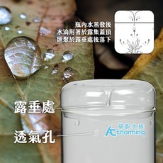 AC草影 玻璃集露瓶 - 苔蘚造景裝飾 真水草種植 兩棲造景適用 (三種規格), 1個, 玻璃集露瓶（S）