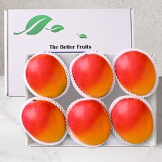 [스윗베러] 애플망고 기프트세트 2kg내외 (5~6과), 1세트, 2kg