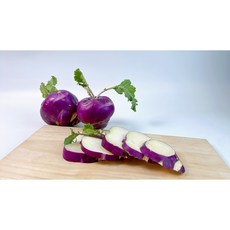 산지직송 제주도 가정용 콜라비, 1개, 3kg