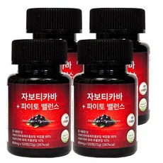 그린바이브 자보티카바 파이토밸런스 브라질100% 퓨레식약청인증 정품 jaboticaba정, 4개, 120정