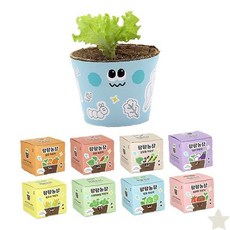 미니텃밭 키트 화분 모종 식물키우기 유치원 어린이집 교육 체험 학습 자연관찰, 강낭콩