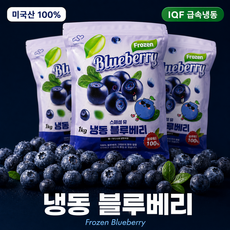 [스페셜유] 미국산 블루베리100% 급속동결로 신선한 블루베리, 8개, 1kg