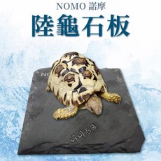 NOMO 陸龜石板 爬蟲磨爪餵食 保暖保濕, 1個, NM-10 10 cm