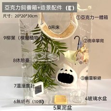 透明亞克力飼養箱 造景缸 睫角守宮 攀爬躲避套裝 20*20*30cm, 1個, 20*20*30飼養套餐E