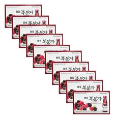 광동제약 복분자, 100ml, 100개