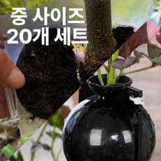 취목볼 루팅볼 접합볼 취목 용기 도구 삽목 공중뿌리 나무 이식 번식 식물, 검정 중(M) 사이즈 20개, 20개