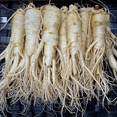 풍기인삼 6년근 세척 인삼 1kg 5년근 수삼 무료세척 풍기 한보인삼사, 250g, 1개, 250g