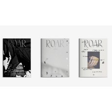 [3종세트]더보이즈 (THE BOYZ) - 미니앨범 8집 [BE AWAKE]ROAR 비어웨이크, .