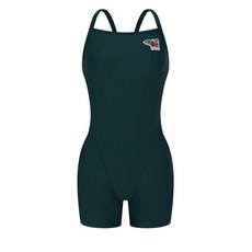 아레나 수영복 에클라 3부 반신 드롭백 DGN