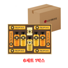 LG 엘지 25년 설 선물세트 프로폴리스E 스페셜호 x 6개 (1박스), 6세트