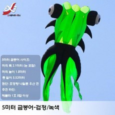 야외 금붕어 연날리기 해변 동물 물고기 날리기 대형연 장난감, 나일론 우산 원단 5m 그린