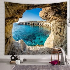 포스터 다용도 가림막, 벽난로