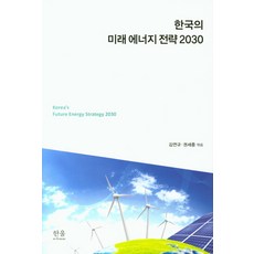 韓國未來能源戰略 2030, 韓蔚學院, 金延圭