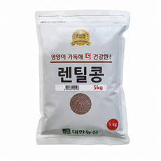 대한농산 브라운 렌틸콩, 5kg, 1개
