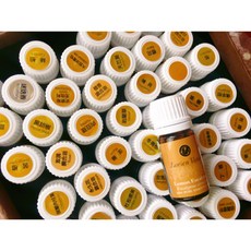 基礎芳療課程：安全精油療癒之旅，專業講師授課，輕鬆入門芳療世界