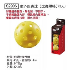 成功牌 S2901 匹克球拍組 (入門款) - 含球拍x2 球x4, 1個, S2906 室外匹克球(球X3）