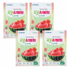 얼려먹는 펫 샤베트 시원한 여름 강아지 간식, 4개, 65g, 수박맛