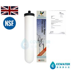 清淨淨水店 英國丹頓Doulton陶瓷濾心 SUPER STERASYL炭顆粒聖燭型 10吋CANDLE第三級, 1個, 10吋STERASY CANDLE-矽藻