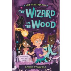 (영문도서) The Wizard in the Wood Hardcover, Walker Books Us