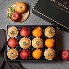 청년농부 나주배 과일선물세트 혼합과일 명절선물세트, 1박스, 혼합 선물 3호 5kg(배6과+사과3과+한라봉3과)