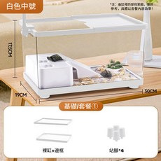 凱盛 生態爬蟲缸 飼養箱 透明 烏龜缸 飼養缸, 生態缸白色【中號】邊框+站角, 1個