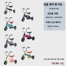 전기바이크 삼륜 착한 스쿠터 미니 삼발이 오토바이 베이직-주행거리10km, 반려동물용 소형 경사판 2인승 바구니+브래킷, 36V