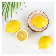 농부마음 프리미엄 팬시 레몬 20과 (개당120g내외)