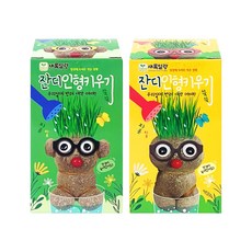 나만의 잔디인형 키우기 랜덤발송 반려식물 원예 수업 토피어리 DIY 키트, 1개