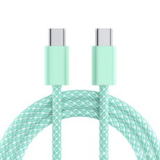디노로웰 PD 60W C타입 to C타입 초고속 충전케이블, 1개, 민트, 1m