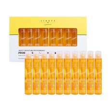 지고트 극손상 헤어앰플 시그니처 프로페셔널 프로바이오틱스 손상모 복구 1세트 10개입, 1개, 13ml