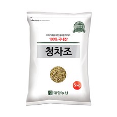 대한농산 국산 청차조 5kg 차조, 1개