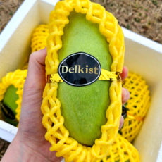 [파격초특가] 아삭아삭 고당도 그린망고 께오망고, 1박스, 1kg