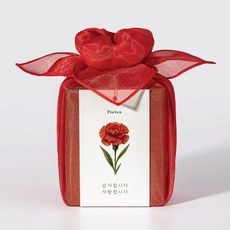 포이티 국산 카네이션 꽃차 보자기포장 어버이날 카네이션선물, 1개, 1개입, 14g 1개, 1개입, 14g