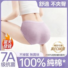 100%純棉 高腰內褲 女 7A級抗菌