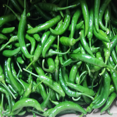 (청양이네 농장) 산지직송 청양고추 매운고추 땡초 청량고추 고추, 1박스, 상-1 kg