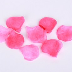 [Allhaving] 꽃잎 플라워샤워 마젠타 100장 셀프웨딩소품