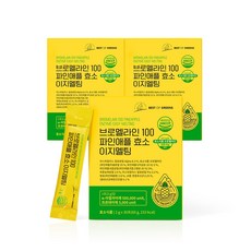 브로멜라인 100 파인애플효소 이지멜팅, 3개, 60g