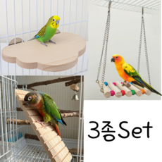 IJARDIN 앵무새 원목 장난감 3set, 1개, wood