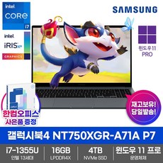 삼성 노트북 갤럭시북4 NT750XGR-A71A 코어 i7 16GB램 윈도우11 가성비 사무용 업무용 인강용 동영상 추천, 그레이, 4TB, 16GB, WIN11 Pro