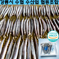 [ 강릉 양미리 ] 동해안 자연산 양미리 국내산 반건조 20미 40미, 1개