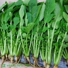 야채이야기 싱싱한 열무 4kg, 1박스